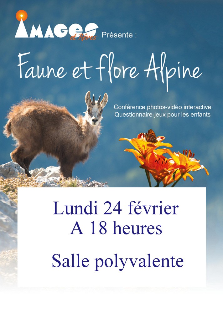 Affiche faune et flore